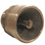 VALVULA CHECK DE 2" 125 LB - Imagen 3